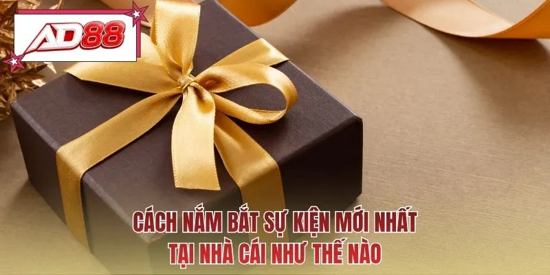 Cách nắm bắt sự kiện mới nhất tại nhà cái như thế nào