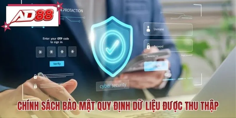 Chính sách bảo mật quy định dữ liệu được thu thập